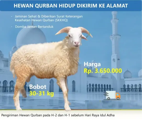 Kurban - Qurban Domba  purwakarta